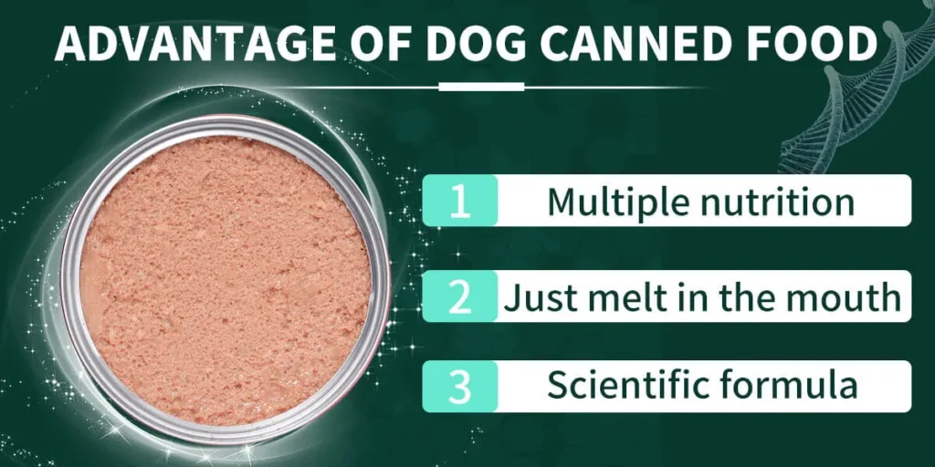 Advantage of dog canned food