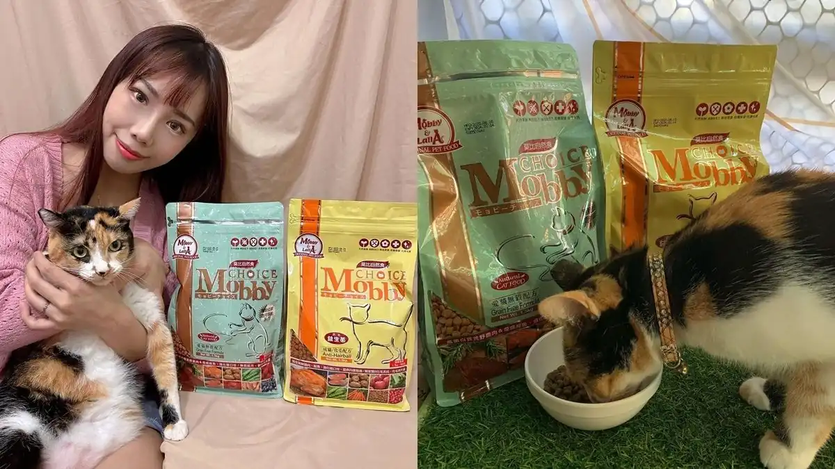“Grain pet food” vs. “grain-free pet food”, which one is better?