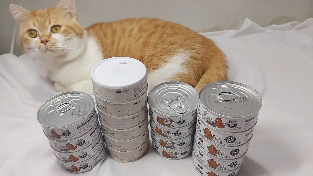 How do I choose a staple canned cat food?