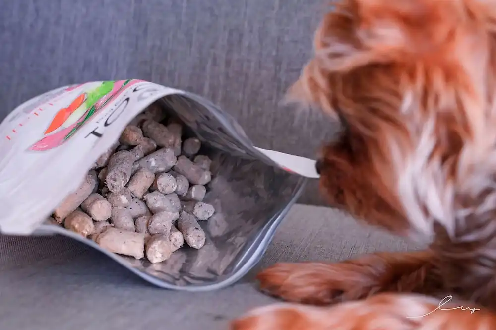 The Benefits of Freeze-Dried Dog Food