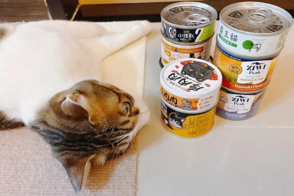 What is the difference between canned staple cat food, canned snack cat food and dried cat food?