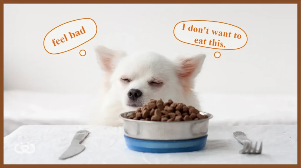Possible Reasons for Dogs Being Picky Eaters