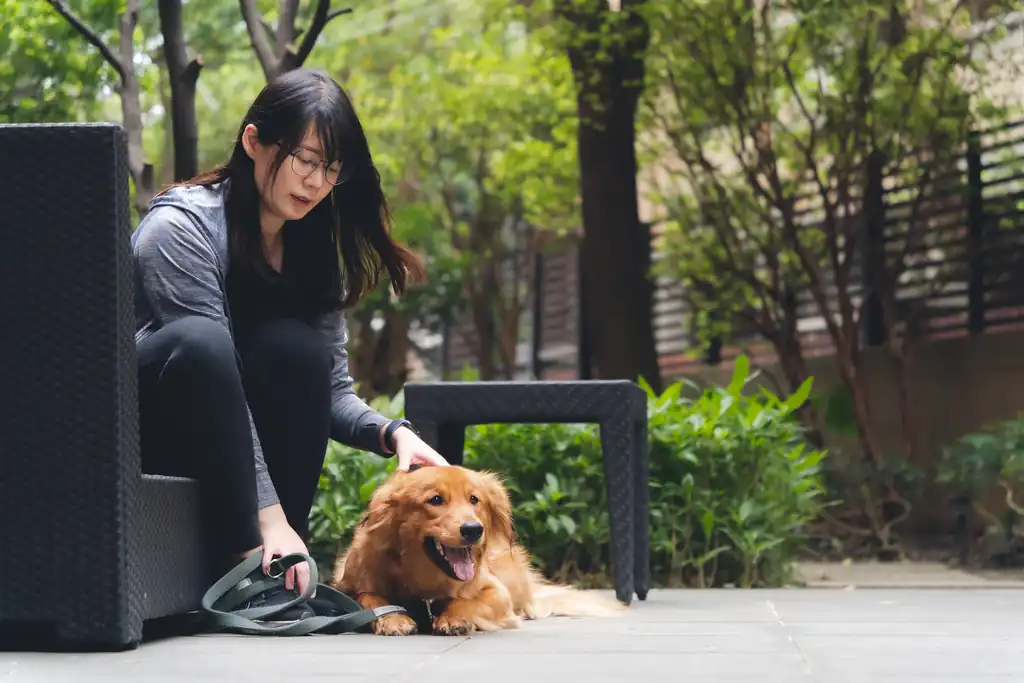 Tips for Socializing Your Puppy!