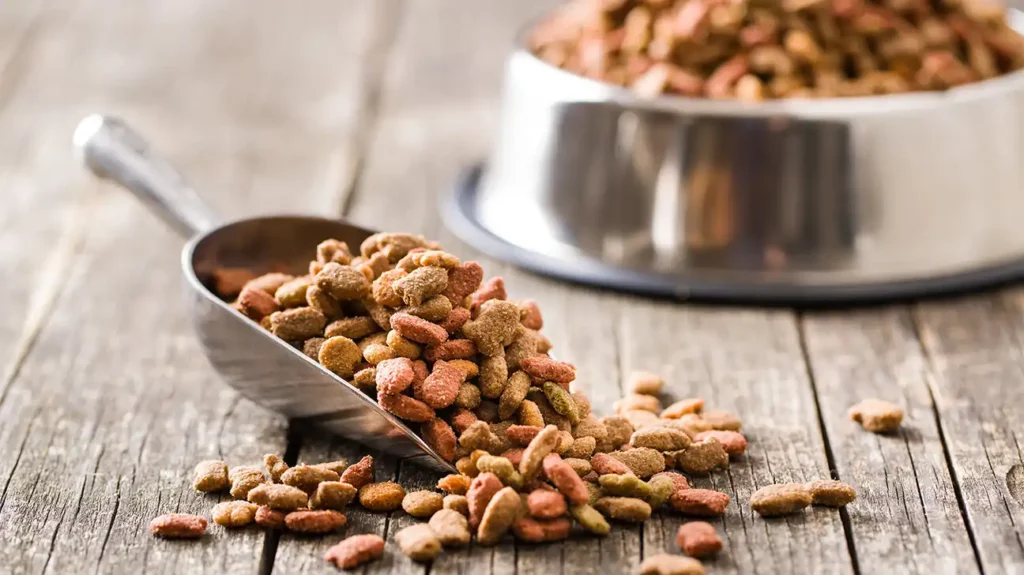 What to Look for on a Dog Food Label