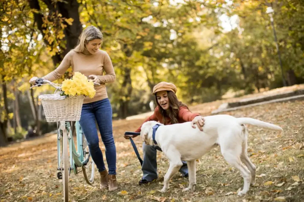 What to bring on a dog walk