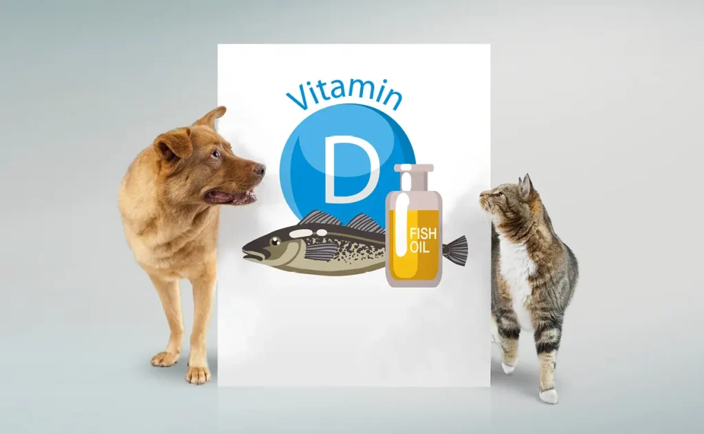 How to choose fish oil for pets?