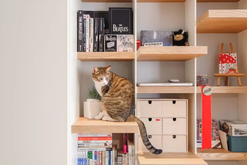 the cat can be kept in a fixed space to make it less likely to feel the changes in the home