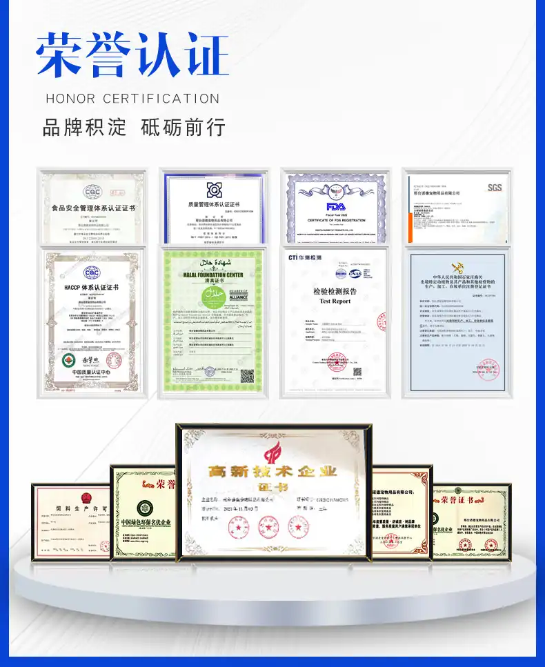 HONOR CERTIFICATION